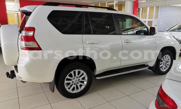 اشتري مستعمل Toyota Land Cruiser Prado White سيارة في Maseru في Maseru اشتري مستعمل Toyota Land Cruiser Prado White سيارة في Maseru في Maseru