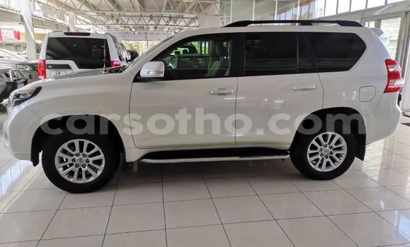 اشتري مستعمل Toyota Land Cruiser Prado White سيارة في Maseru في Maseru اشتري مستعمل Toyota Land Cruiser Prado White سيارة في Maseru في Maseru