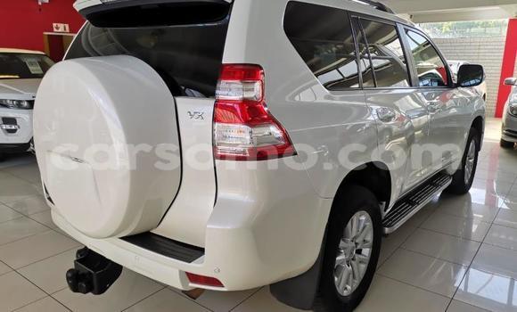 اشتري مستعمل Toyota Land Cruiser Prado White سيارة في Maseru في Maseru اشتري مستعمل Toyota Land Cruiser Prado White سيارة في Maseru في Maseru
