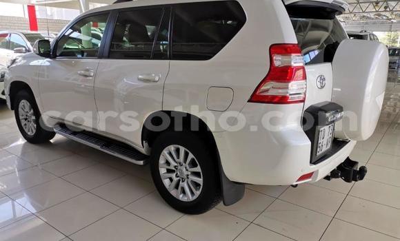 اشتري مستعمل Toyota Land Cruiser Prado White سيارة في Maseru في Maseru اشتري مستعمل Toyota Land Cruiser Prado White سيارة في Maseru في Maseru