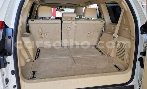 اشتري مستعمل Toyota Land Cruiser Prado White سيارة في Maseru في Maseru اشتري مستعمل Toyota Land Cruiser Prado White سيارة في Maseru في Maseru