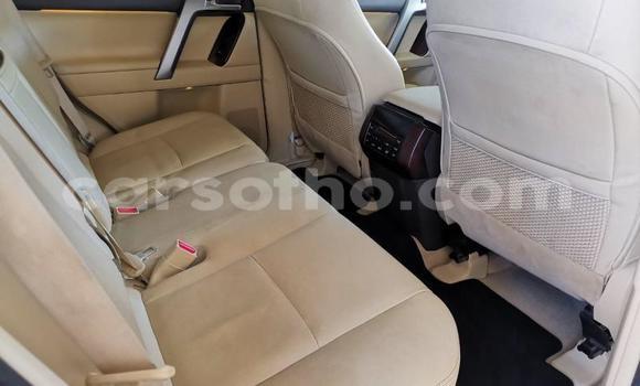 اشتري مستعمل Toyota Land Cruiser Prado White سيارة في Maseru في Maseru اشتري مستعمل Toyota Land Cruiser Prado White سيارة في Maseru في Maseru