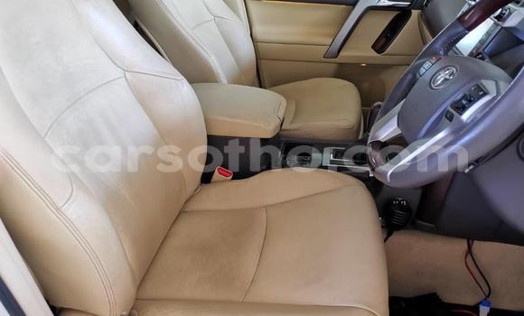 اشتري مستعمل Toyota Land Cruiser Prado White سيارة في Maseru في Maseru اشتري مستعمل Toyota Land Cruiser Prado White سيارة في Maseru في Maseru