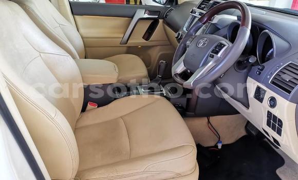 اشتري مستعمل Toyota Land Cruiser Prado White سيارة في Maseru في Maseru اشتري مستعمل Toyota Land Cruiser Prado White سيارة في Maseru في Maseru