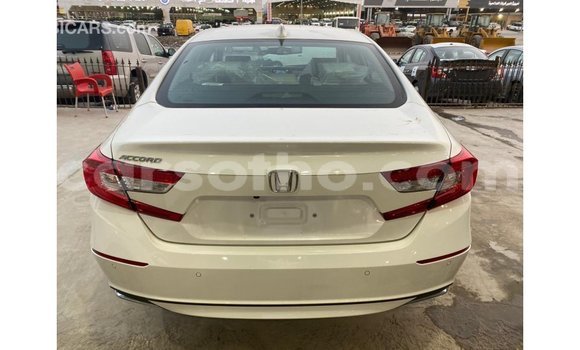 اشتري Imported Honda T White دراجة نارية في Import - Dubai في Maseru اشتري Imported Honda T White دراجة نارية في Import - Dubai في Maseru
