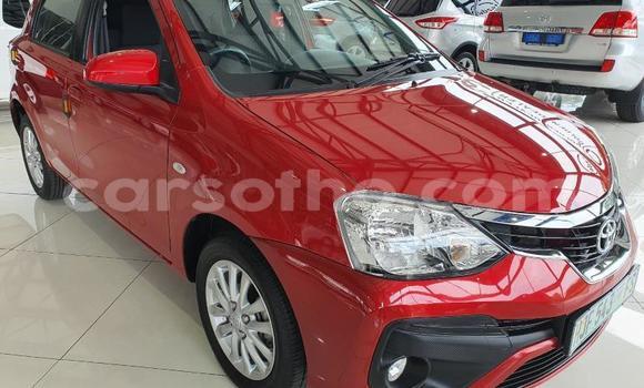 Sayi Na hannu Toyota Etios Red Mota in Maseru a Maseru Sayi Na hannu Toyota Etios Red Mota in Maseru a Maseru