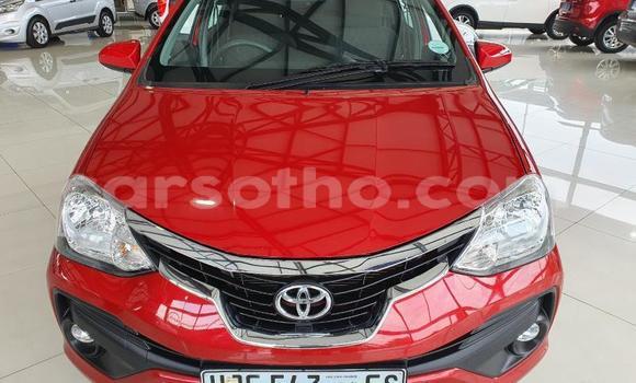 Sayi Na hannu Toyota Etios Red Mota in Maseru a Maseru Sayi Na hannu Toyota Etios Red Mota in Maseru a Maseru