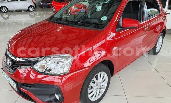 Sayi Na hannu Toyota Etios Red Mota in Maseru a Maseru Sayi Na hannu Toyota Etios Red Mota in Maseru a Maseru