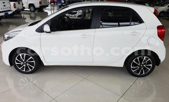 Acheter Occasion Voiture Kia Picanto Blanc à Maputsoa, Leribe Acheter Occasion Voiture Kia Picanto Blanc à Maputsoa, Leribe