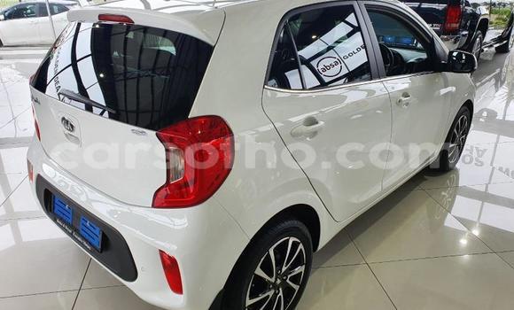 Acheter Occasion Voiture Kia Picanto Blanc à Maputsoa, Leribe Acheter Occasion Voiture Kia Picanto Blanc à Maputsoa, Leribe