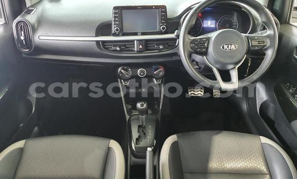 Acheter Occasion Voiture Kia Picanto Blanc à Maputsoa, Leribe Acheter Occasion Voiture Kia Picanto Blanc à Maputsoa, Leribe