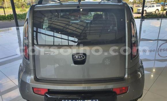Buy Used Kia Soul Other Car in Mafeteng in Mafeteng Buy Used Kia Soul Other Car in Mafeteng in Mafeteng