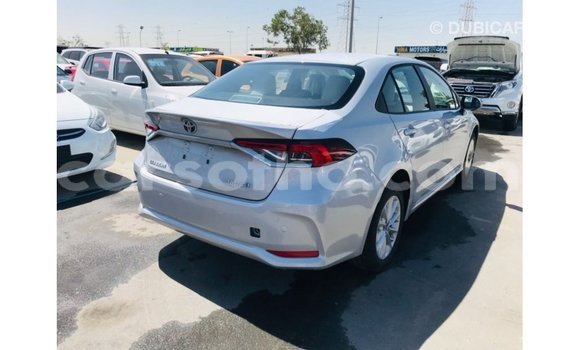 Acheter Import Voiture Toyota Corolla Blanc à Import - Dubai, Maseru Acheter Import Voiture Toyota Corolla Blanc à Import - Dubai, Maseru