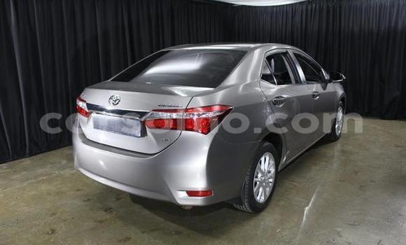 Acheter Occasion Voiture Toyota Corolla Gris à Butha–Buthe, Thaba-Tseka Acheter Occasion Voiture Toyota Corolla Gris à Butha–Buthe, Thaba-Tseka