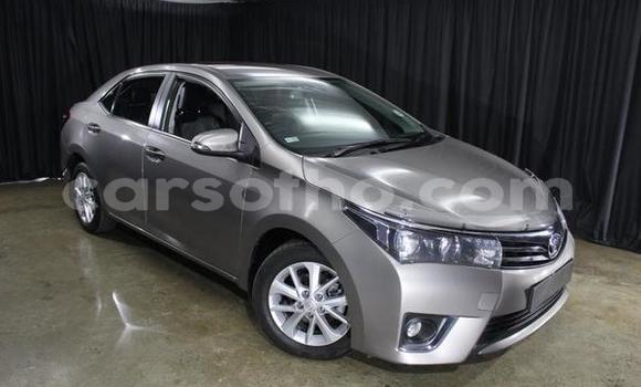Acheter Occasion Voiture Toyota Corolla Gris à Butha–Buthe, Thaba-Tseka Acheter Occasion Voiture Toyota Corolla Gris à Butha–Buthe, Thaba-Tseka