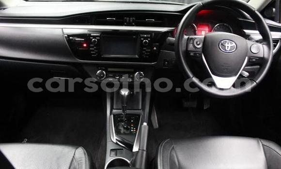 Acheter Occasion Voiture Toyota Corolla Gris à Butha–Buthe, Thaba-Tseka Acheter Occasion Voiture Toyota Corolla Gris à Butha–Buthe, Thaba-Tseka