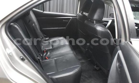 Acheter Occasion Voiture Toyota Corolla Gris à Butha–Buthe, Thaba-Tseka Acheter Occasion Voiture Toyota Corolla Gris à Butha–Buthe, Thaba-Tseka