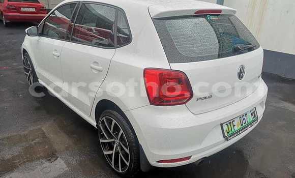اشتري مستعمل Volkswagen Polo White سيارة في Maseru في Maseru اشتري مستعمل Volkswagen Polo White سيارة في Maseru في Maseru