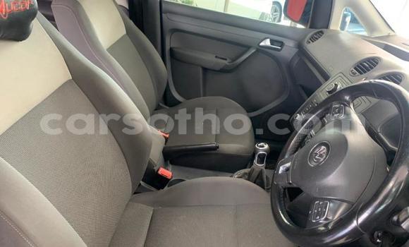 اشتري مستعمل Volkswagen Caddy Blue سيارة في Maseru في Maseru اشتري مستعمل Volkswagen Caddy Blue سيارة في Maseru في Maseru