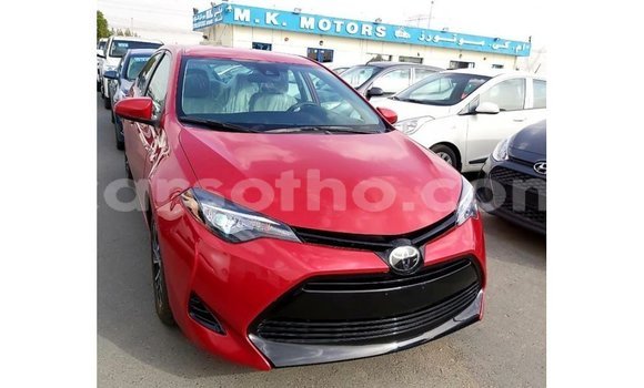 اشتري Imported Toyota Corolla Red سيارة في Import - Dubai في Maseru اشتري Imported Toyota Corolla Red سيارة في Import - Dubai في Maseru