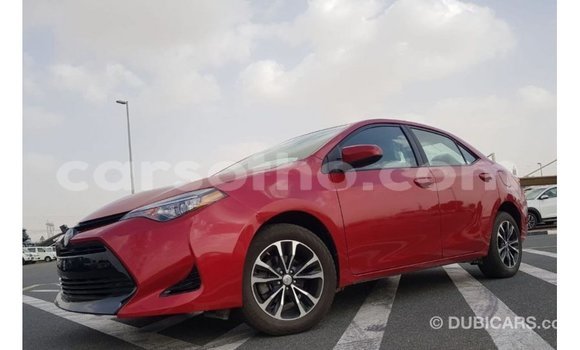 اشتري Imported Toyota Corolla Red سيارة في Import - Dubai في Maseru اشتري Imported Toyota Corolla Red سيارة في Import - Dubai في Maseru