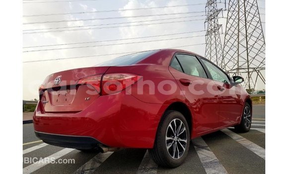 اشتري Imported Toyota Corolla Red سيارة في Import - Dubai في Maseru اشتري Imported Toyota Corolla Red سيارة في Import - Dubai في Maseru
