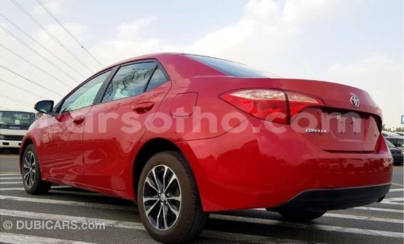 اشتري Imported Toyota Corolla Red سيارة في Import - Dubai في Maseru اشتري Imported Toyota Corolla Red سيارة في Import - Dubai في Maseru