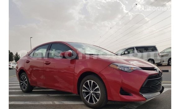 اشتري Imported Toyota Corolla Red سيارة في Import - Dubai في Maseru اشتري Imported Toyota Corolla Red سيارة في Import - Dubai في Maseru