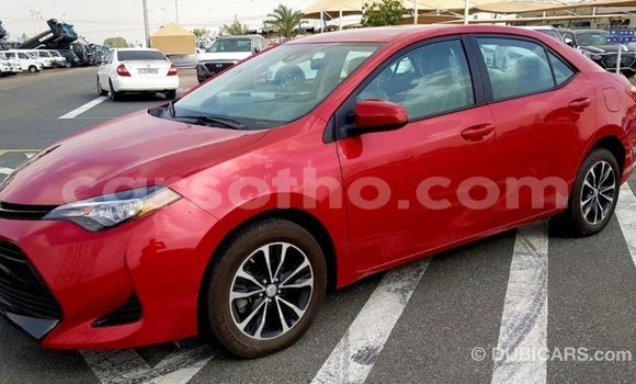اشتري Imported Toyota Corolla Red سيارة في Import - Dubai في Maseru اشتري Imported Toyota Corolla Red سيارة في Import - Dubai في Maseru