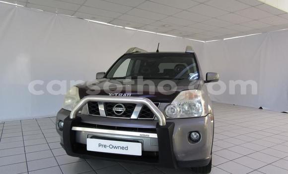 اشتري مستعمل Nissan X–Trail Silver سيارة في Maseru في Maseru اشتري مستعمل Nissan X–Trail Silver سيارة في Maseru في Maseru