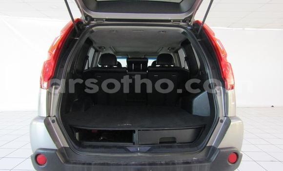 اشتري مستعمل Nissan X–Trail Silver سيارة في Maseru في Maseru اشتري مستعمل Nissan X–Trail Silver سيارة في Maseru في Maseru