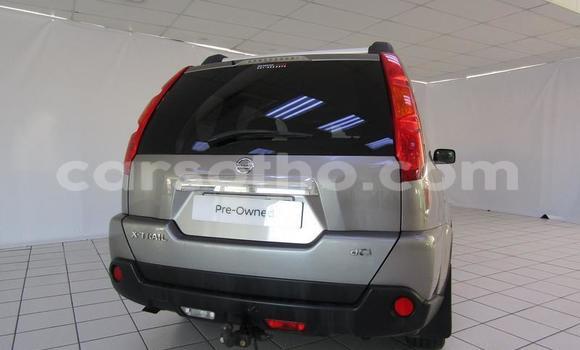 اشتري مستعمل Nissan X–Trail Silver سيارة في Maseru في Maseru اشتري مستعمل Nissan X–Trail Silver سيارة في Maseru في Maseru