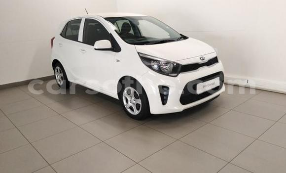 اشتري مستعمل Kia Picanto White سيارة في Maseru في Maseru اشتري مستعمل Kia Picanto White سيارة في Maseru في Maseru