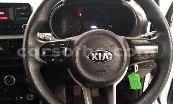 اشتري مستعمل Kia Picanto White سيارة في Maseru في Maseru اشتري مستعمل Kia Picanto White سيارة في Maseru في Maseru