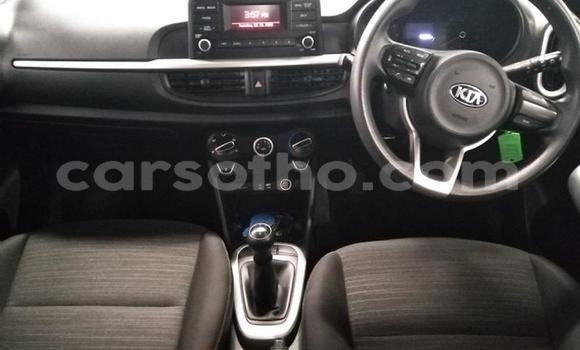 اشتري مستعمل Kia Picanto White سيارة في Maseru في Maseru اشتري مستعمل Kia Picanto White سيارة في Maseru في Maseru