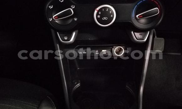 اشتري مستعمل Kia Picanto White سيارة في Maseru في Maseru اشتري مستعمل Kia Picanto White سيارة في Maseru في Maseru