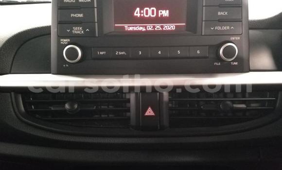 اشتري مستعمل Kia Picanto White سيارة في Maseru في Maseru اشتري مستعمل Kia Picanto White سيارة في Maseru في Maseru