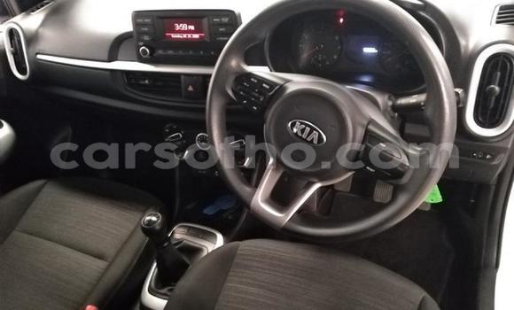 اشتري مستعمل Kia Picanto White سيارة في Maseru في Maseru اشتري مستعمل Kia Picanto White سيارة في Maseru في Maseru