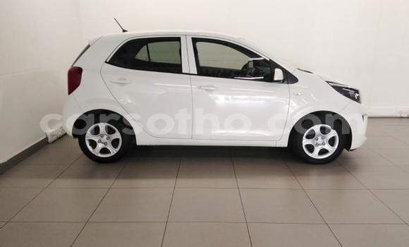 اشتري مستعمل Kia Picanto White سيارة في Maseru في Maseru اشتري مستعمل Kia Picanto White سيارة في Maseru في Maseru