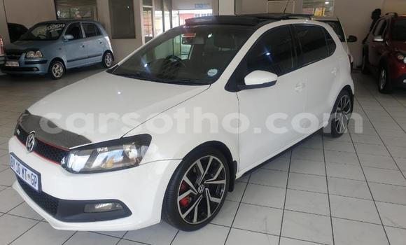 اشتري مستعمل Volkswagen Polo GTI White سيارة في Maseru في Maseru اشتري مستعمل Volkswagen Polo GTI White سيارة في Maseru في Maseru
