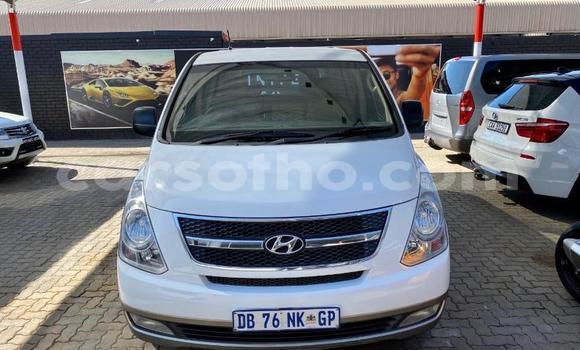 اشتري مستعمل Hyundai H1 White سيارة في Maseru في Maseru اشتري مستعمل Hyundai H1 White سيارة في Maseru في Maseru