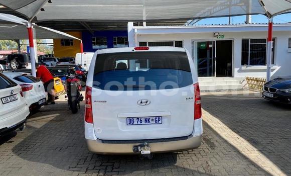 اشتري مستعمل Hyundai H1 White سيارة في Maseru في Maseru اشتري مستعمل Hyundai H1 White سيارة في Maseru في Maseru