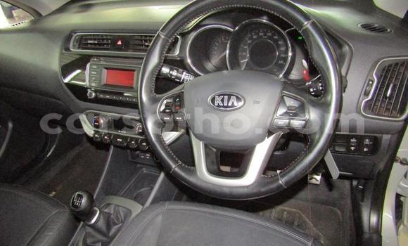 اشتري مستعمل Kia Rio Silver سيارة في Roma في Maseru اشتري مستعمل Kia Rio Silver سيارة في Roma في Maseru