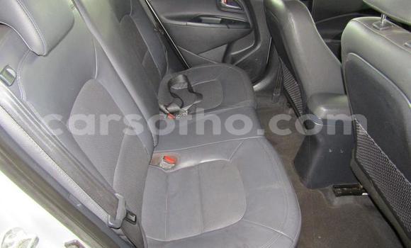 اشتري مستعمل Kia Rio Silver سيارة في Roma في Maseru اشتري مستعمل Kia Rio Silver سيارة في Roma في Maseru