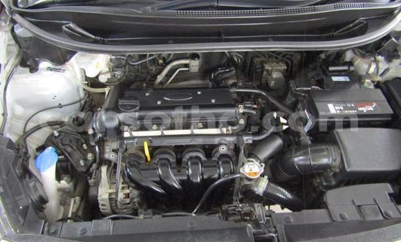 اشتري مستعمل Kia Rio Silver سيارة في Roma في Maseru اشتري مستعمل Kia Rio Silver سيارة في Roma في Maseru