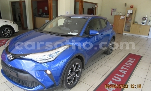 اشتري مستعمل Toyota C-HR Blue سيارة في Maseru في Maseru اشتري مستعمل Toyota C-HR Blue سيارة في Maseru في Maseru