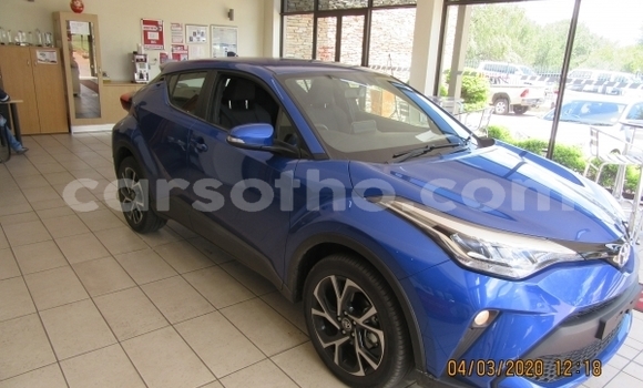 اشتري مستعمل Toyota C-HR Blue سيارة في Maseru في Maseru اشتري مستعمل Toyota C-HR Blue سيارة في Maseru في Maseru