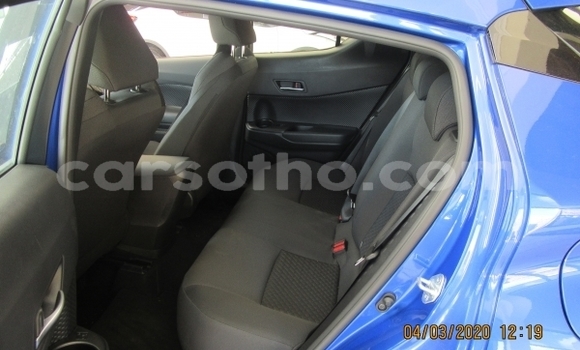 اشتري مستعمل Toyota C-HR Blue سيارة في Maseru في Maseru اشتري مستعمل Toyota C-HR Blue سيارة في Maseru في Maseru