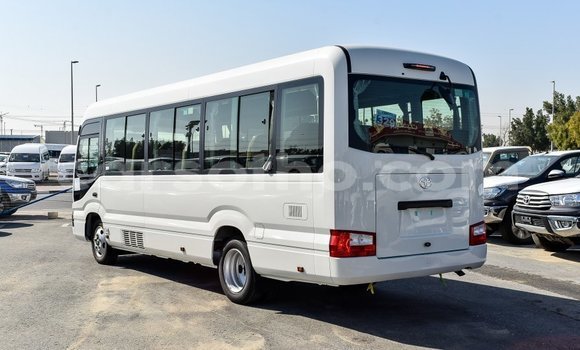 Sayi Imported Toyota Coaster White Mota in Import - Dubai a Maseru Sayi Imported Toyota Coaster White Mota in Import - Dubai a Maseru