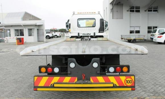 Buy Used Isuzu FVZ White Truck in Maseru in Maseru Buy Used Isuzu FVZ White Truck in Maseru in Maseru